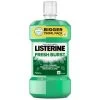 Listerine Daily Mouthwash 750ml - Fresh Burst -Care Product Store 396659 listerine mouthwash freshburst 750ml