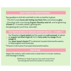 Garnier Organic Rosy Glow 3-in-1 Youth Cream 50ml -Care Product Store 402020 garnier organic rosy glow 3 in 1 youth cream 50ml 3