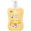 Astonish Protect + Care Anti-Bacterial Hand Wash 600ml - Milk & Honey -Care Product Store 402212 astonish protect and care anti bacterial handwash milk and honey