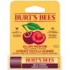 B&M Burt's Bees Wild Cherry Lip Balm