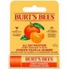 B&M Burt's Bees Sweet Mandarin Lip Balm -Care Product Store 402223 burts bees sweet mandarin lip balm